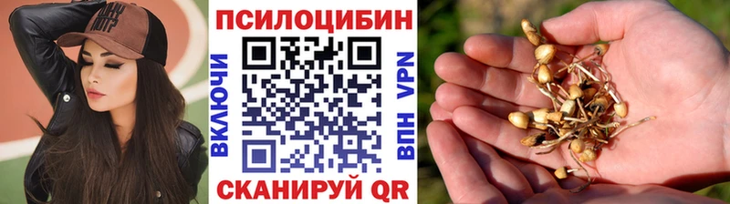 shop наркотические препараты Березники Галлюциногенные грибы Psilocybine cubensis
